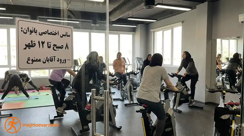 معیار انتخاب بهترین باشگاه بدنسازی بانوان در شیراز چیستف مجموعه ورزشی