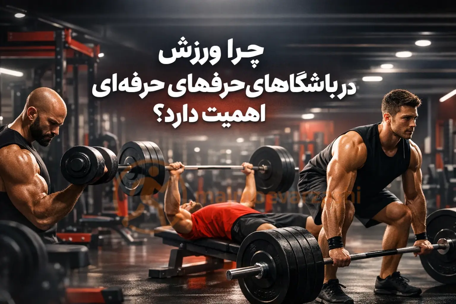 چرا ورزش در باشگاههای حرفهای اهمیت دارد؟، مجموعه ورزشی